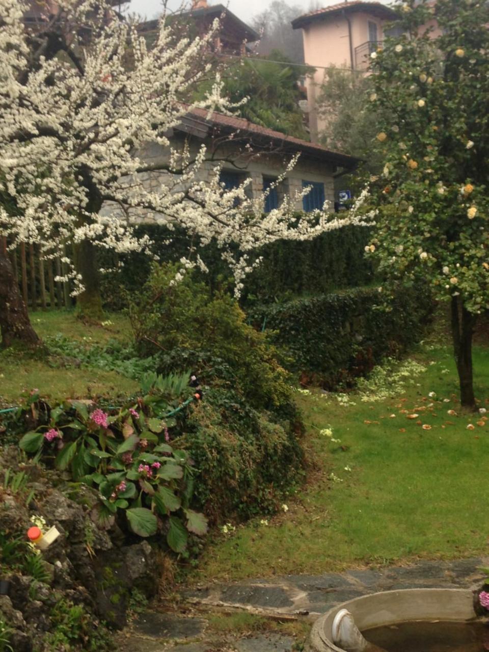 Villa Maria Lago Maggiore Reno Di Leggiuno 外观 照片